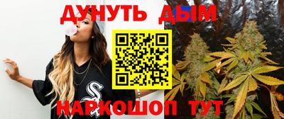шишки Будённовск