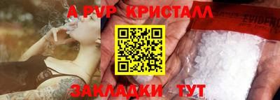 шишки Будённовск
