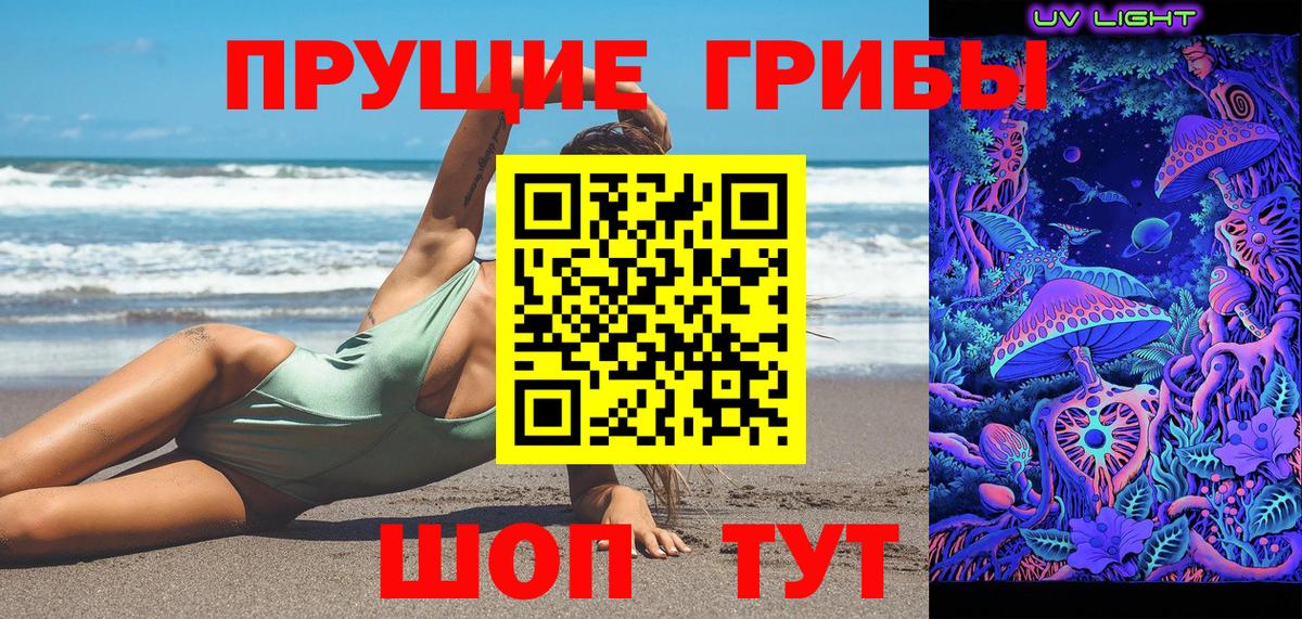 Псилоцибиновые грибы Psilocybine cubensis Новочеркасск