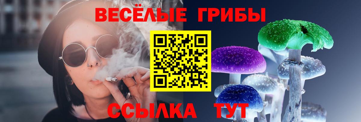 Галлюциногенные грибы MAGIC MUSHROOMS  Вход с VPN  Новочеркасск 